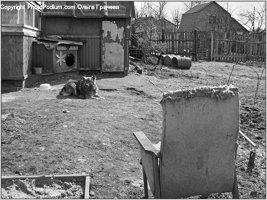 Chair, Furniture, Ground, Soil, Bench, Yard, Rubble