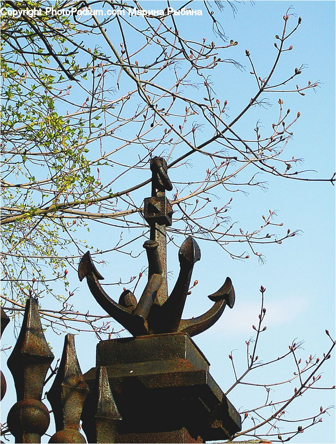 Rust, Animal, Bat, Racket, Flower Arrangement, Ikebana, Plant