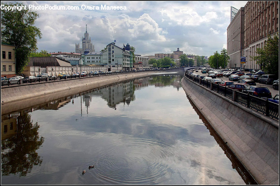 Plant, Potted Plant, Canal, Outdoors, River, Water, Train