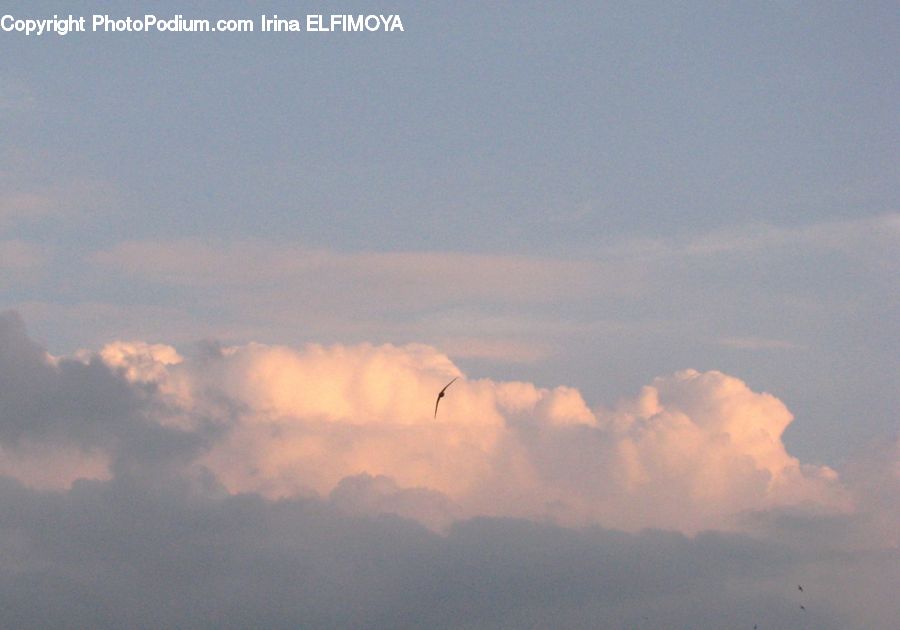 Cloud, Cumulus, Sky, Azure Sky, Outdoors