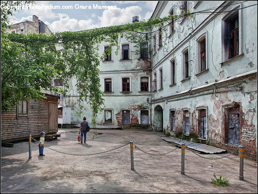 Plant, Potted Plant, Building, Ruins, Patio, Bunker, Cobblestone