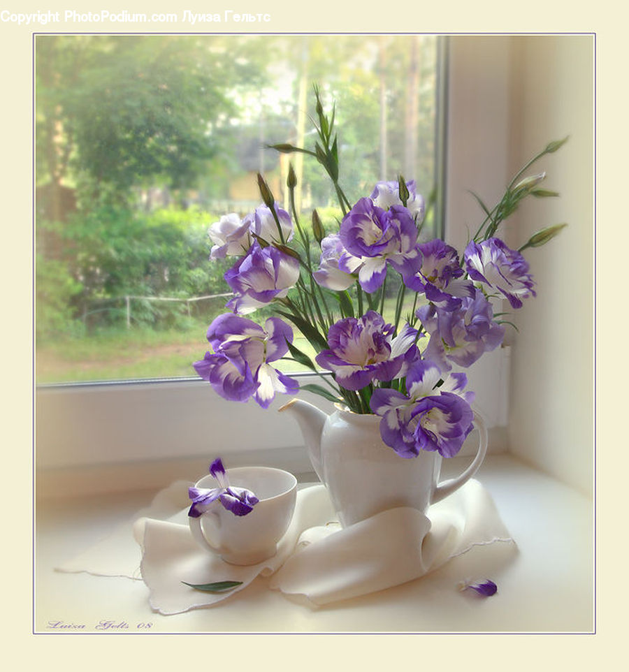 Flower Arrangement, Ikebana, Plant, Potted Plant, Vase, Porcelain, Saucer