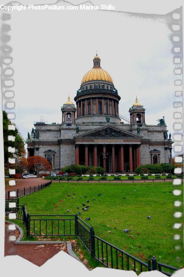 Architecture, Dome, Bench, Plant, Potted Plant, Cathedral, Church