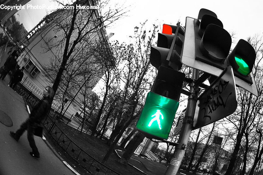Light, Traffic Light, Intersection, Road, City, Downtown, Urban