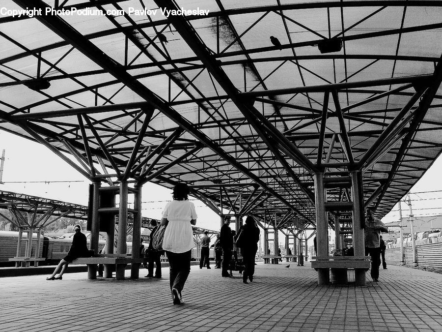 Human, People, Person, Canopy, Back, Pedestrian, Road