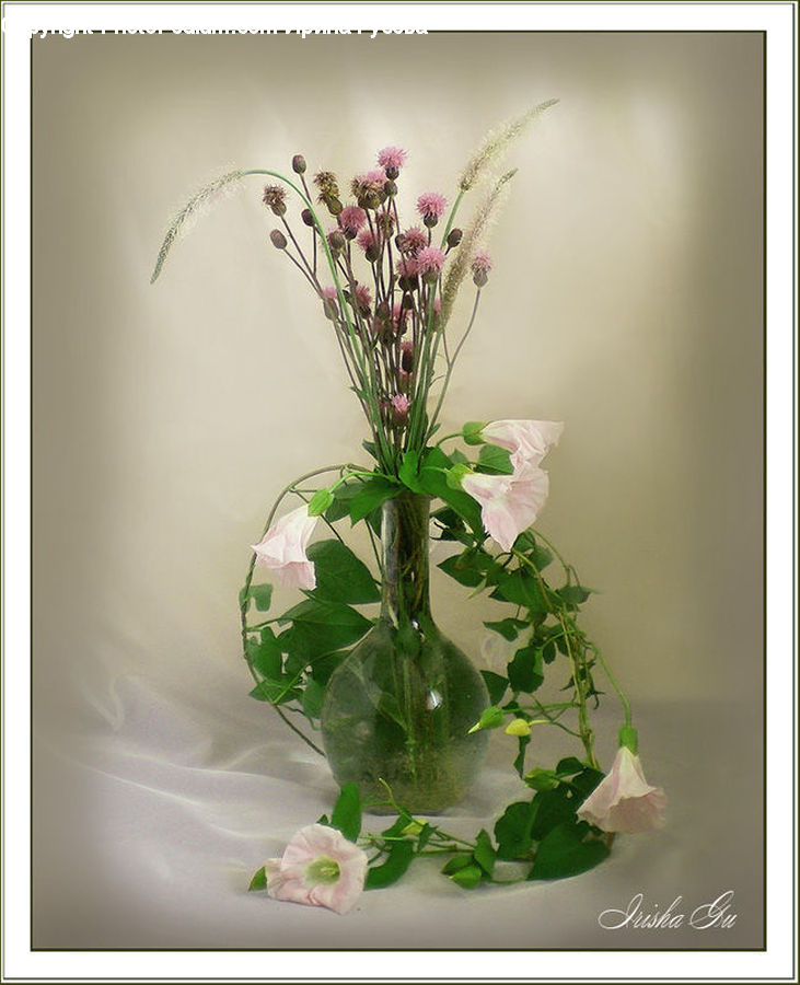 Flower Arrangement, Ikebana, Plant, Potted Plant, Vase, Floral Design, Flower