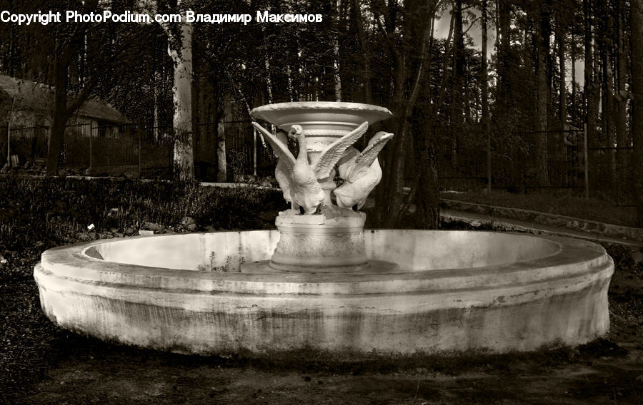 Fountain, Water, Drinking Fountain, Porcelain, Saucer