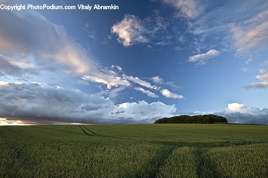 Field, Grass, Grassland, Land, Outdoors, Azure Sky, Cloud