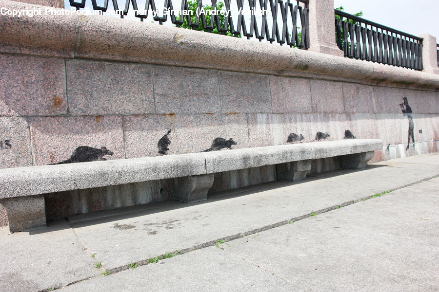 Bench, Bird, Pigeon