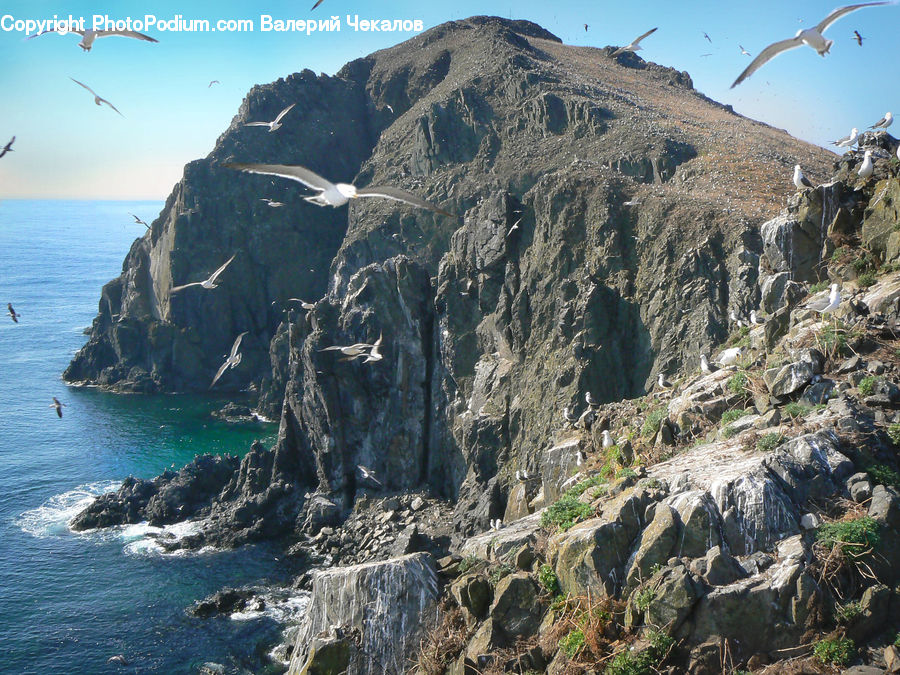 Cliff, Outdoors, Promontory, Bird, Booby, Rock, Alps