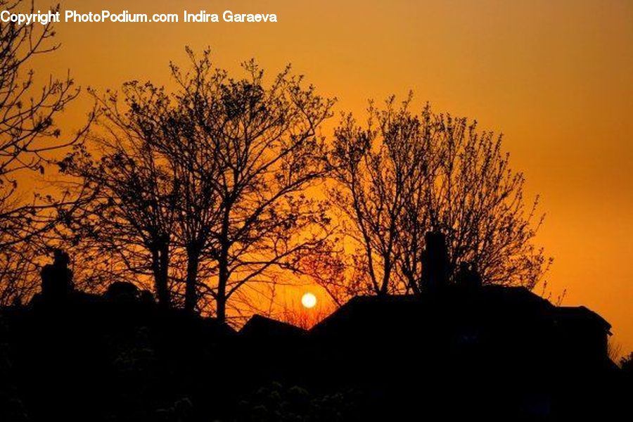 Dusk, Outdoors, Sky, Sunlight, Sunrise, Sunset, Silhouette