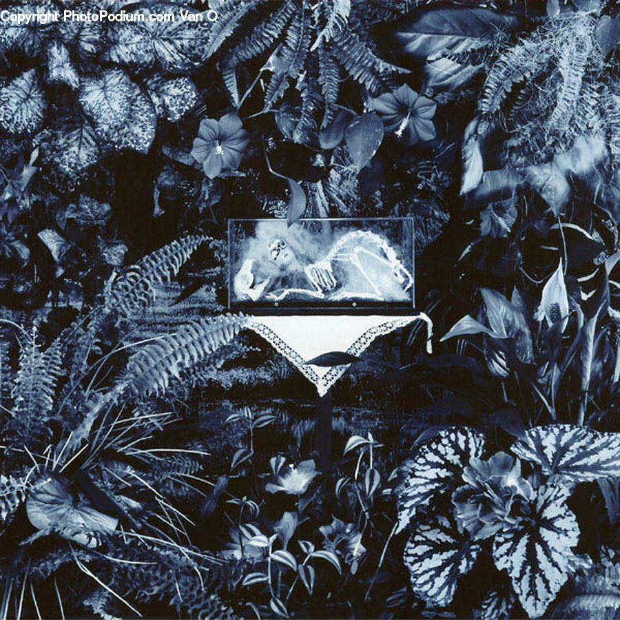 Frost, Ice, Outdoors, Snow, Aluminium, Foil, Art