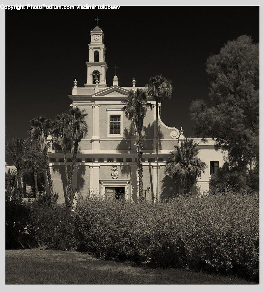 Palm Tree, Plant, Tree, Architecture, Mansion, Bench, Building