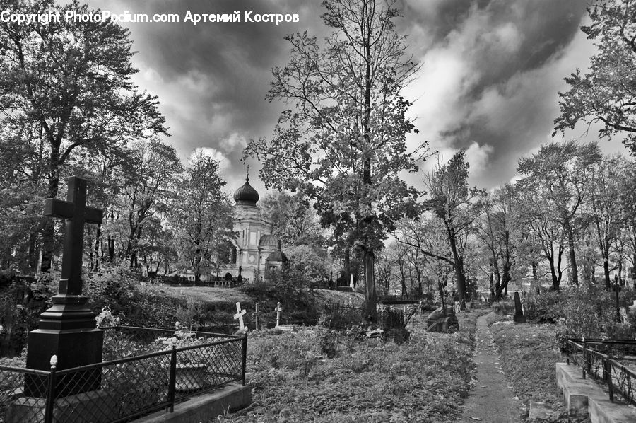 Tomb, Tombstone, Bench, Plant, Tree, Potted Plant, Blossom