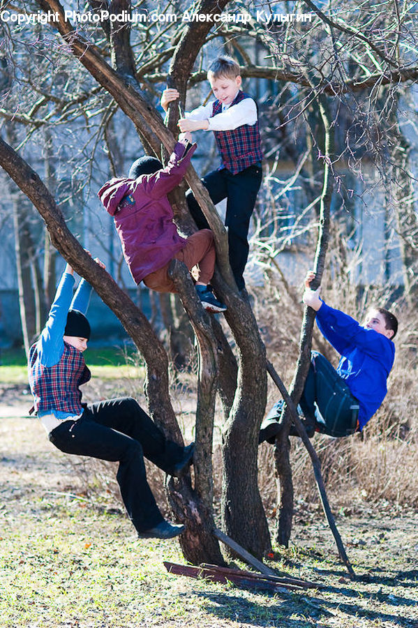 People, Person, Human, Axe, Playground, Plant, Tree