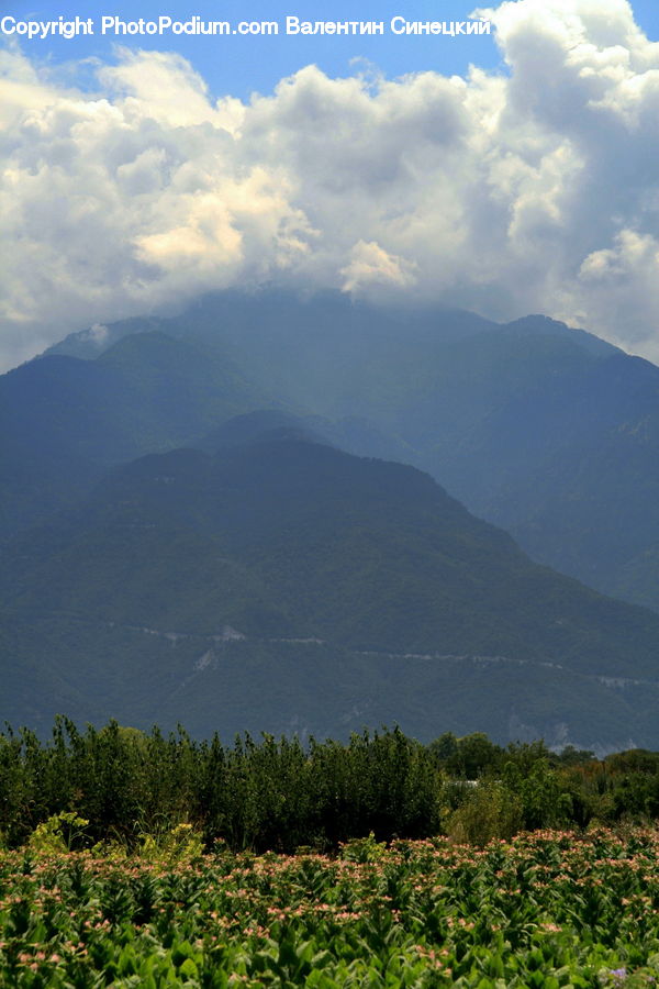 Cloud, Cumulus, Sky, Azure Sky, Outdoors, Mountain, Mountain Range