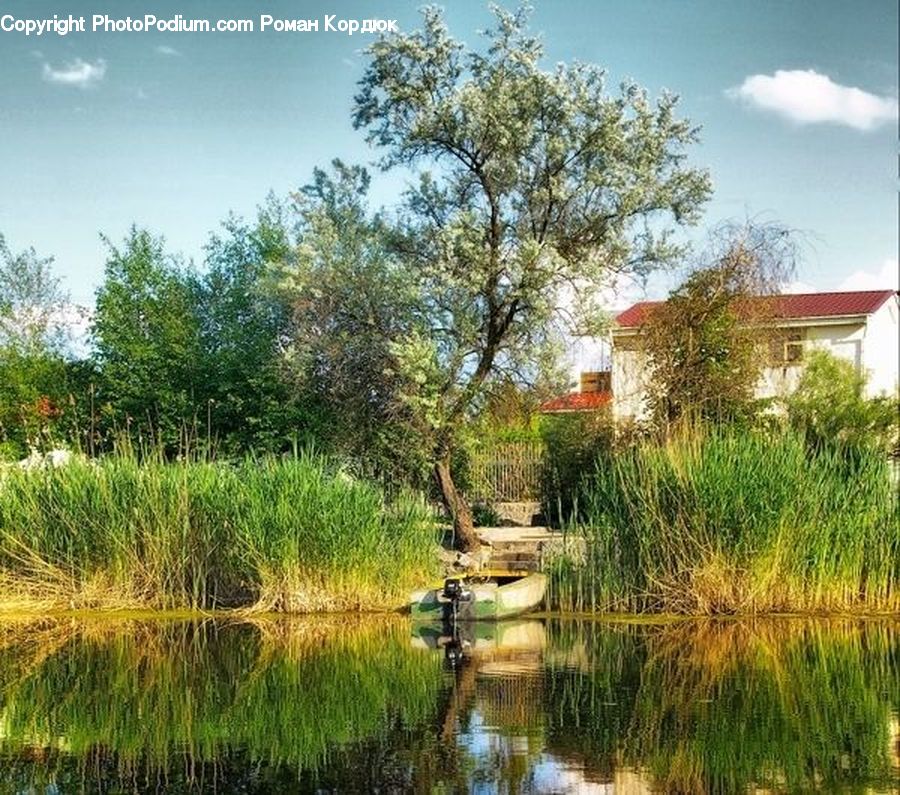 Outdoors, Pond, Water, Building, Cottage, Housing, Field