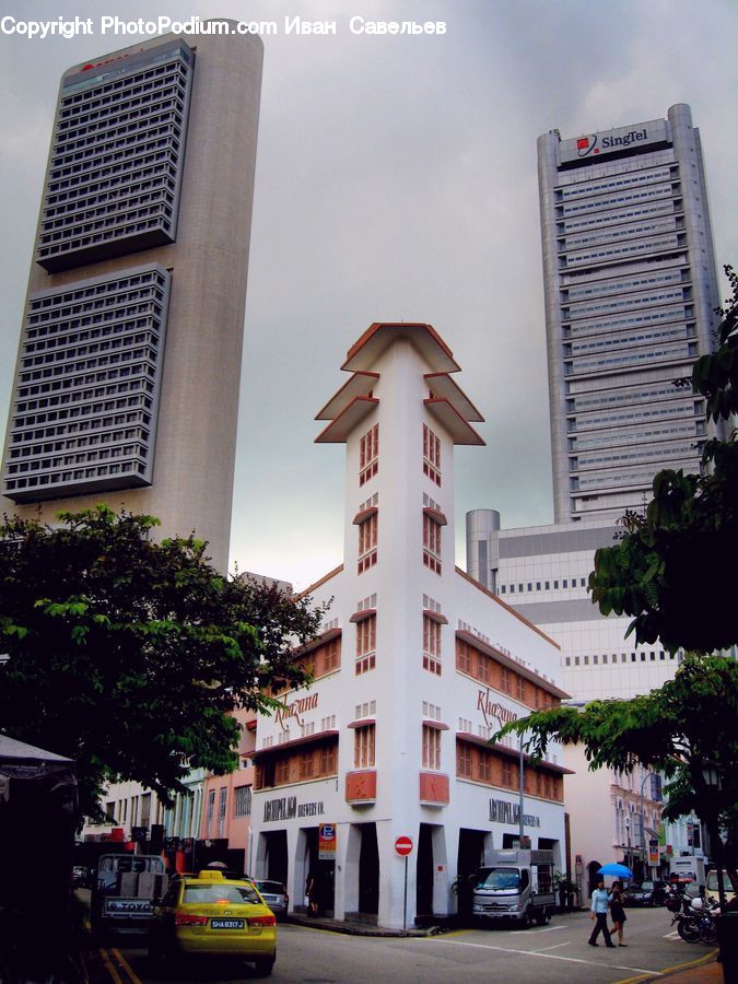 Plant, Potted Plant, Architecture, City, Downtown, High Rise, Skyscraper