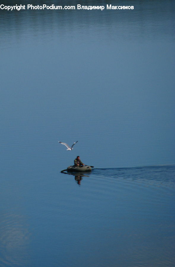 Boat, Canoe, Kayak, Rowboat, Flying, Ocean, Outdoors