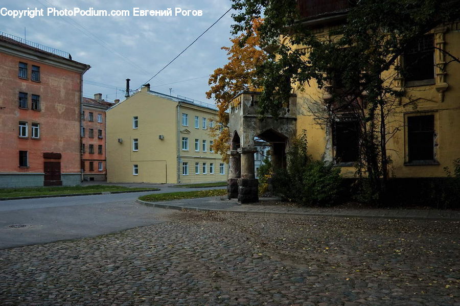 Plant, Potted Plant, Building, Housing, Villa, Yard, Cobblestone