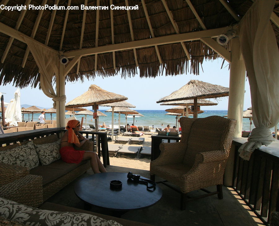 Couch, Furniture, Chair, Gazebo, Cafe, Cafeteria, Food Court