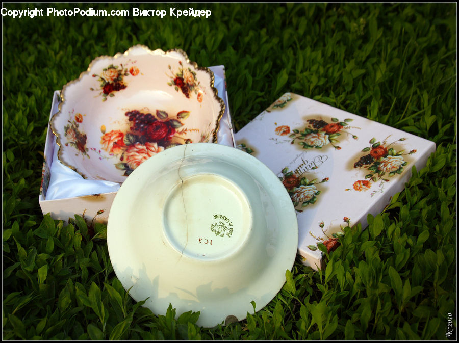 Cup, Bowl, Dish, Food, Meal, Plate, Porcelain