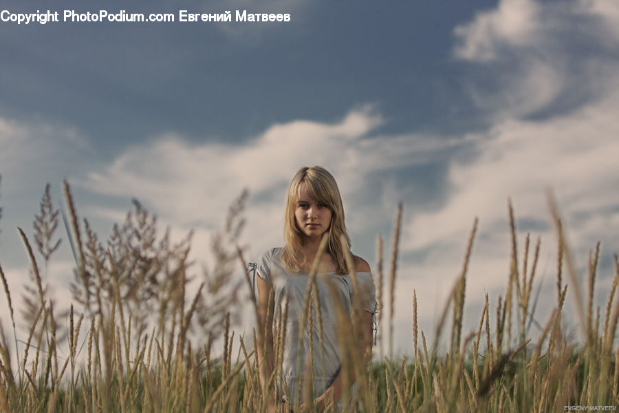 People, Person, Human, Field, Grass, Grassland, Plant