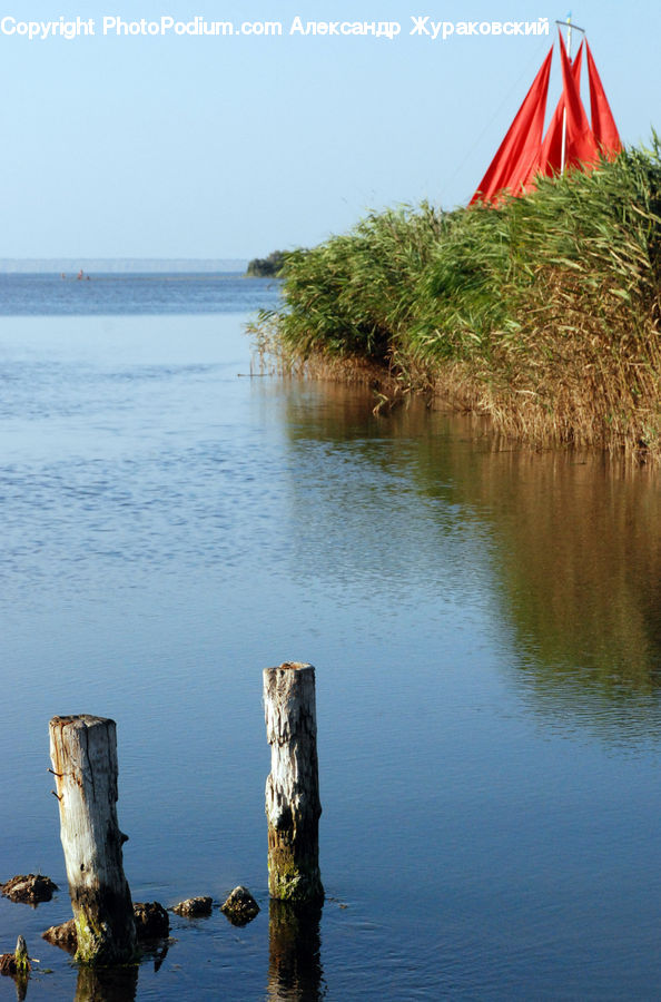 Tree Stump, Boat, Dinghy, Coast, Outdoors, Sea, Water