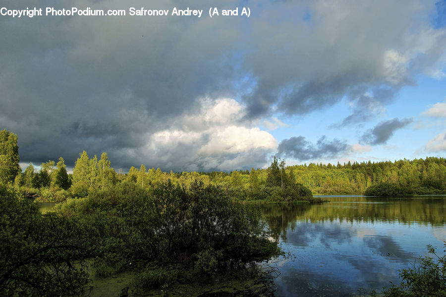 Outdoors, Pond, Water, Land, Marsh, Swamp, Cloud