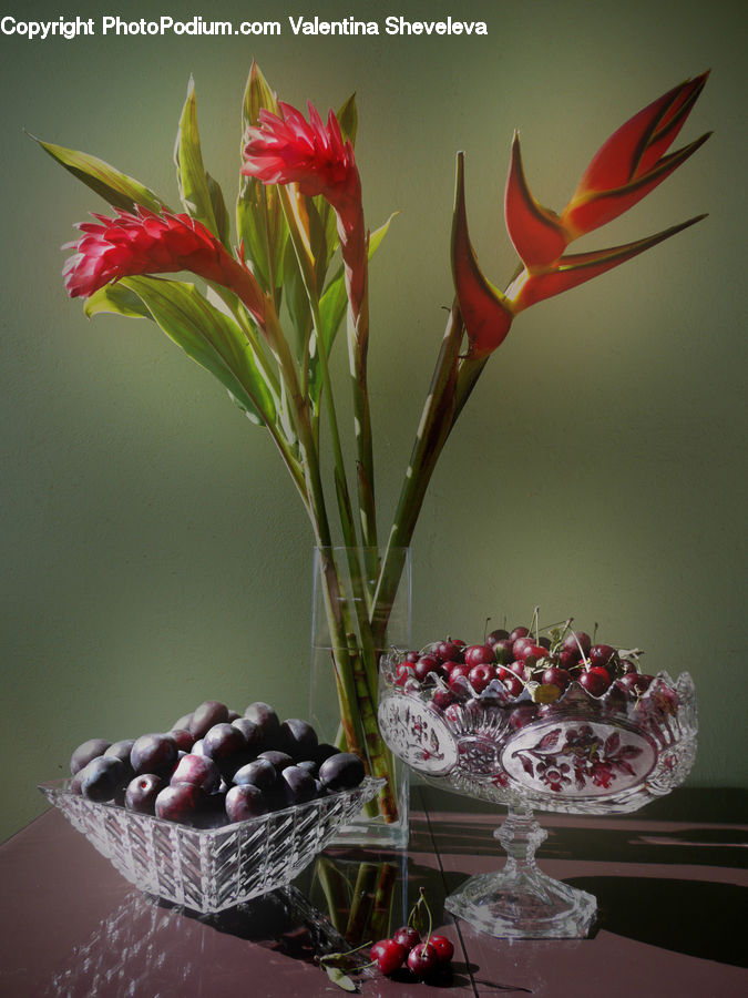 Flora, Flower, Gladiolus, Plant, Glass, Goblet, Flower Arrangement
