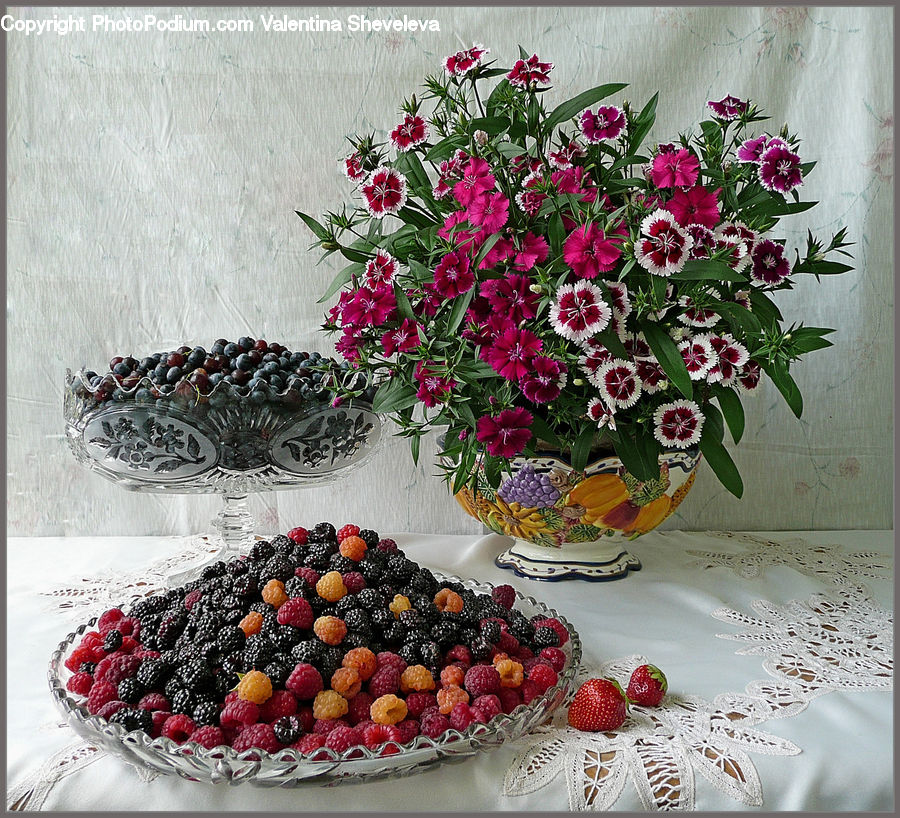 Plant, Potted Plant, Amaryllis, Flower, Dessert, Food, Bowl