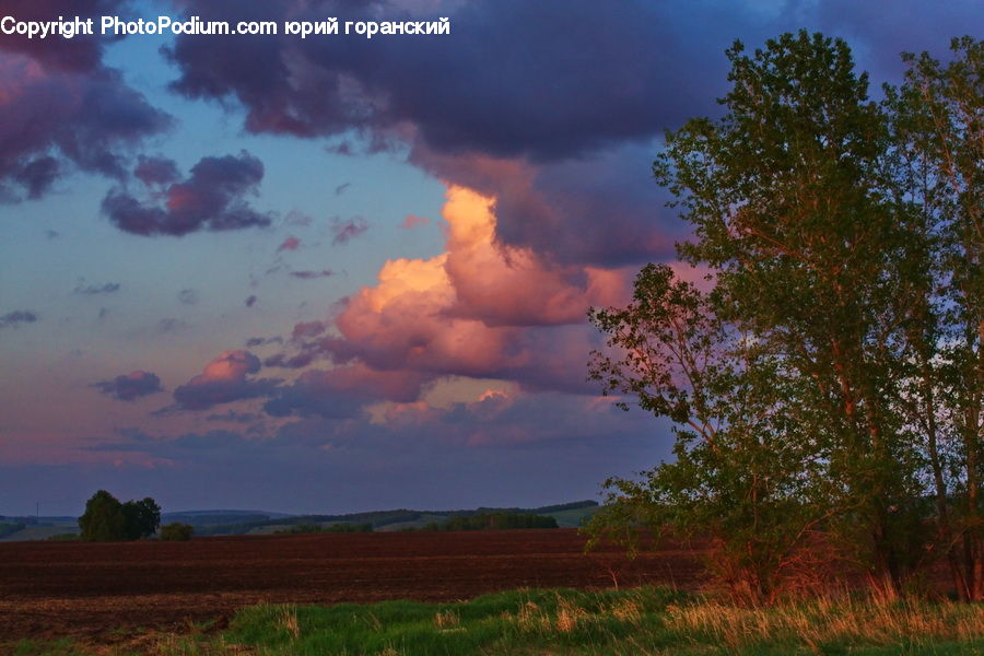 Azure Sky, Cloud, Outdoors, Sky, Cumulus, Dawn, Dusk