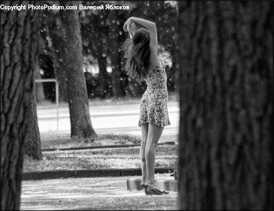 People, Person, Human, Female, Plant, Tree, Brick