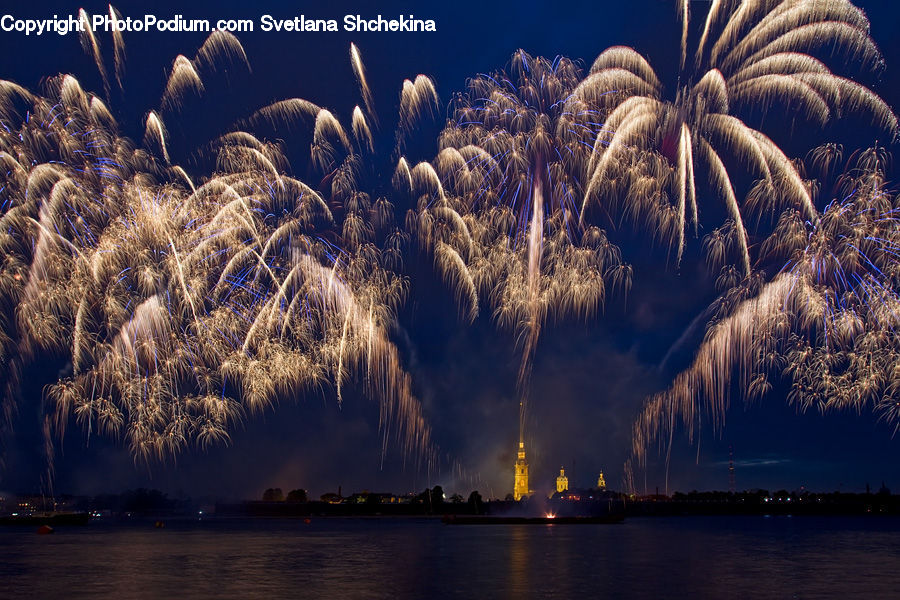 Fireworks, Night, Grain, Grass, Plant, Wheat, Reed