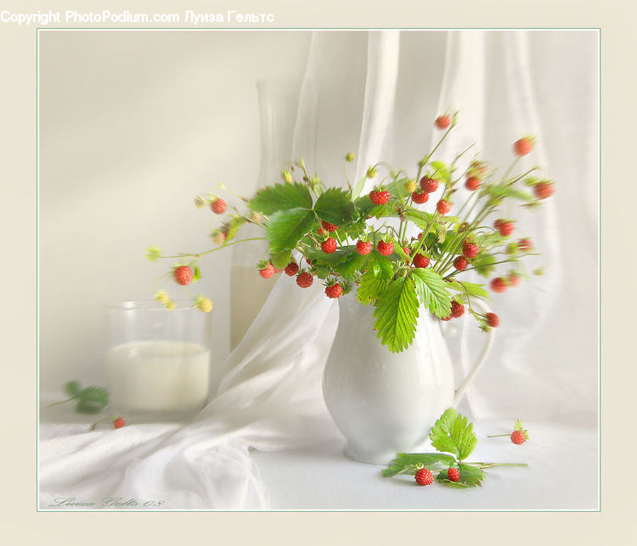 Fruit, Raspberry, Flower Arrangement, Ikebana, Plant, Potted Plant, Vase