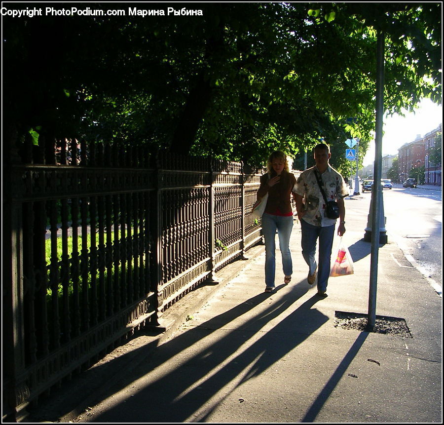 Leisure Activities, Walking, Boardwalk, Path, Pavement, Sidewalk, Walkway