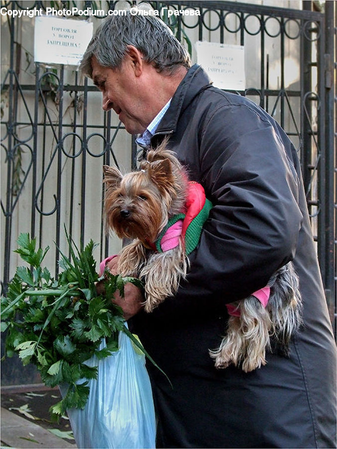 People, Person, Human, Plant, Potted Plant, Animal, Canine
