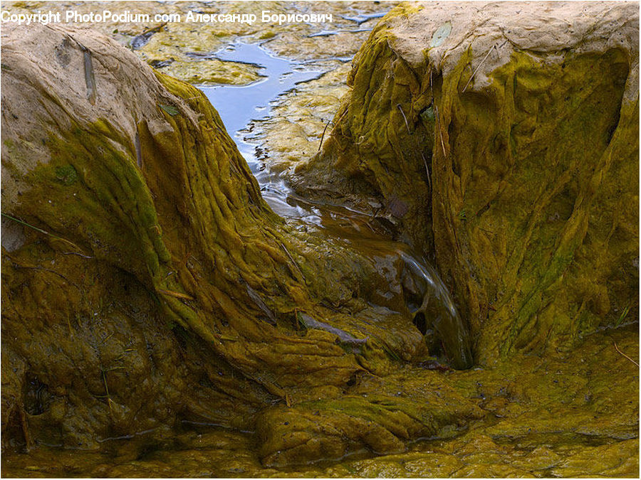 Seaweed, Cave, Cliff, Outdoors, Field, Grass, Grassland