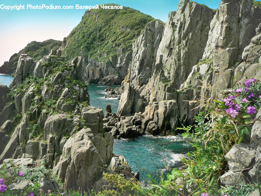Cliff, Outdoors, Promontory, Rock, Nature, Blossom, Flora