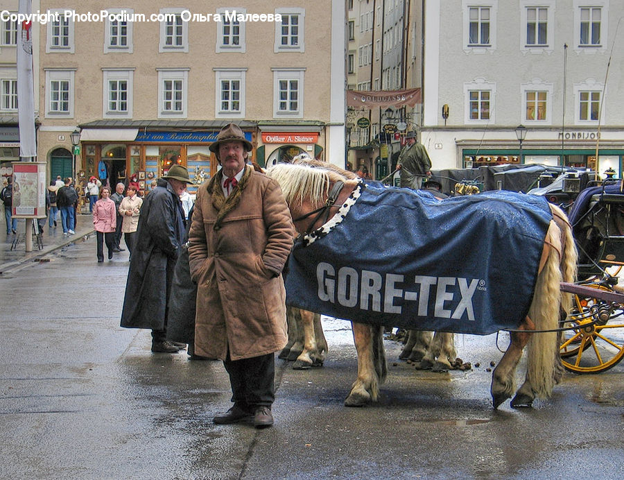 People, Person, Human, Coat, Crowd, Parade, Overcoat