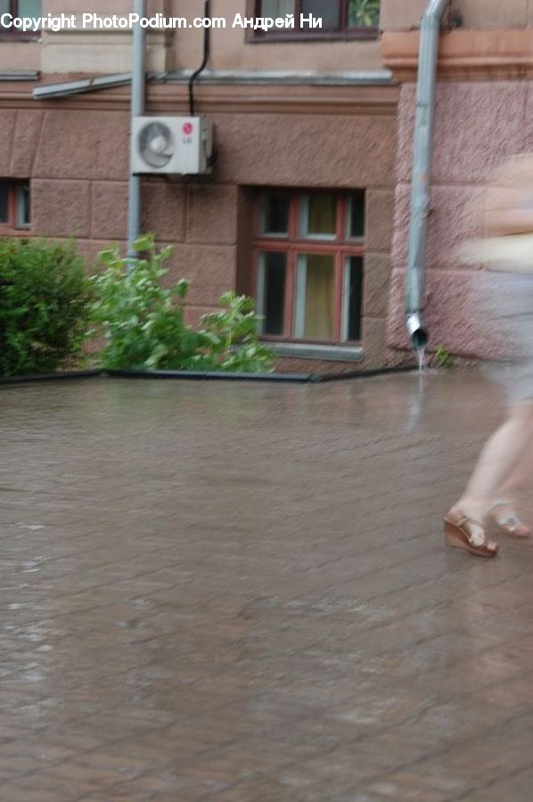 Plant, Potted Plant, People, Person, Human, Flood, Brick