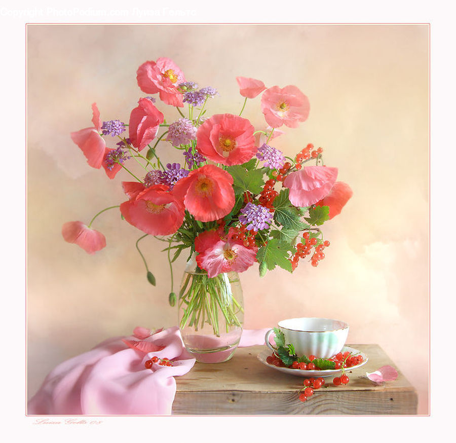 Floral Design, Porcelain, Saucer, Jar, Vase, Flower, Flower Arrangement