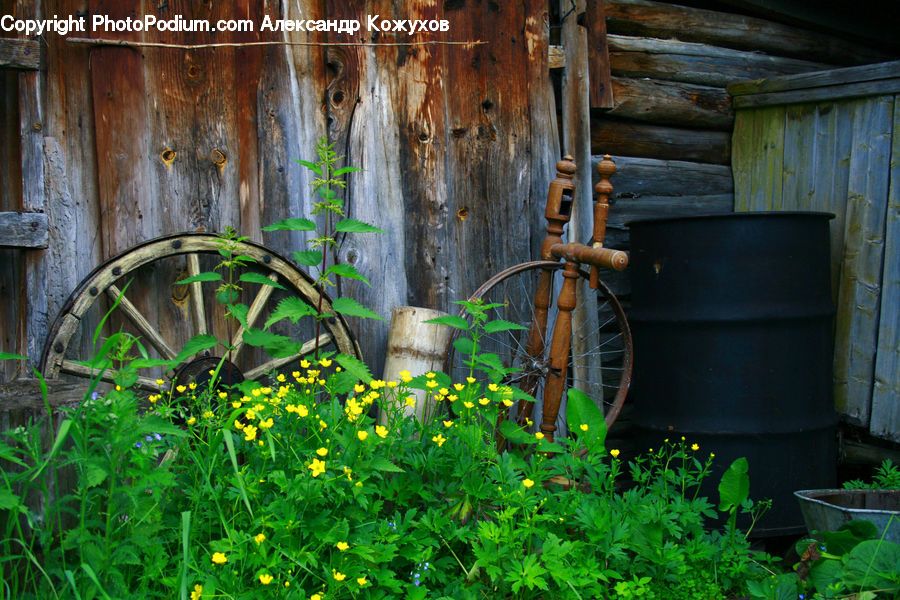 Bicycle, Bike, Vehicle, Rust, Backyard, Yard, Car