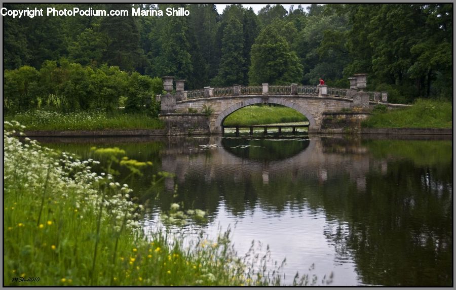 Outdoors, Pond, Water, Canal, River, Blossom, Flora