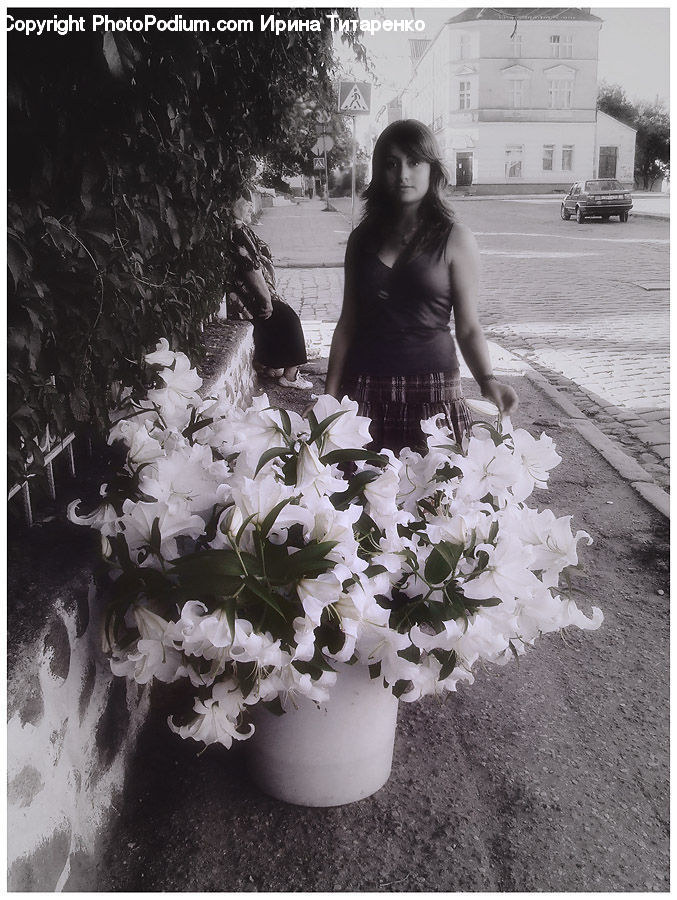 Human, People, Person, Plant, Potted Plant, Portrait, Selfie