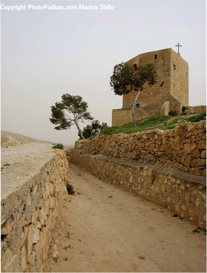 Castle, Fort, Architecture, Ivy, Plant, Vine, Dirt Road