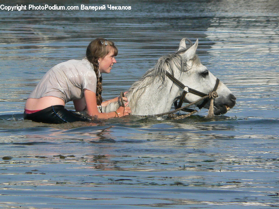 People, Person, Human, Animal, Horse, Mammal, Sport