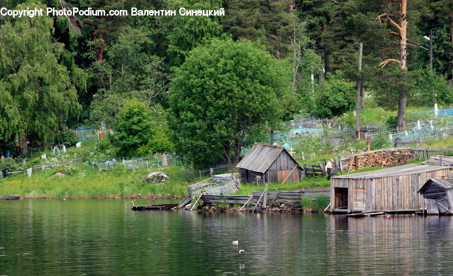 Cabin, Hut, Rural, Shack, Shelter, Building, Cottage
