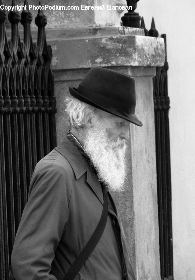 People, Person, Human, Beard, Hair, Portrait, Selfie