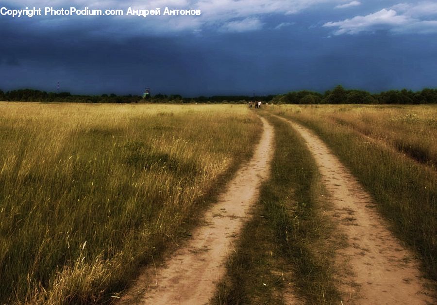 Dirt Road, Gravel, Road, Field, Grass, Grassland, Land